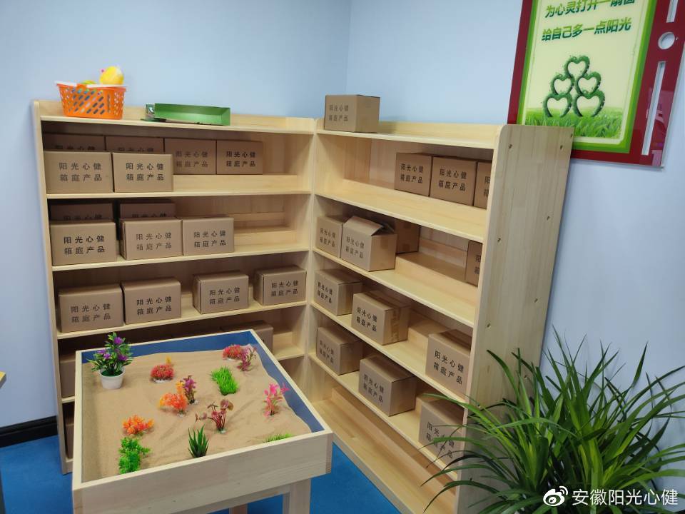 心理咨询室设备 社会心理服务体系中的核心支撑与应用领域探析