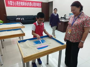 第八期免费心理咨询服务活动如期举办，为心灵健康注入温暖力量